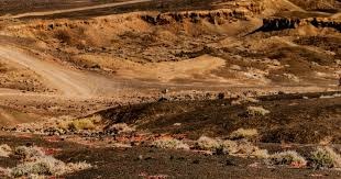 冰壶世锦赛：中国女队爆冷击败瑞典